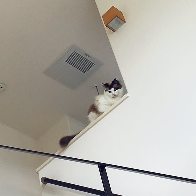 Leoさんの実例写真