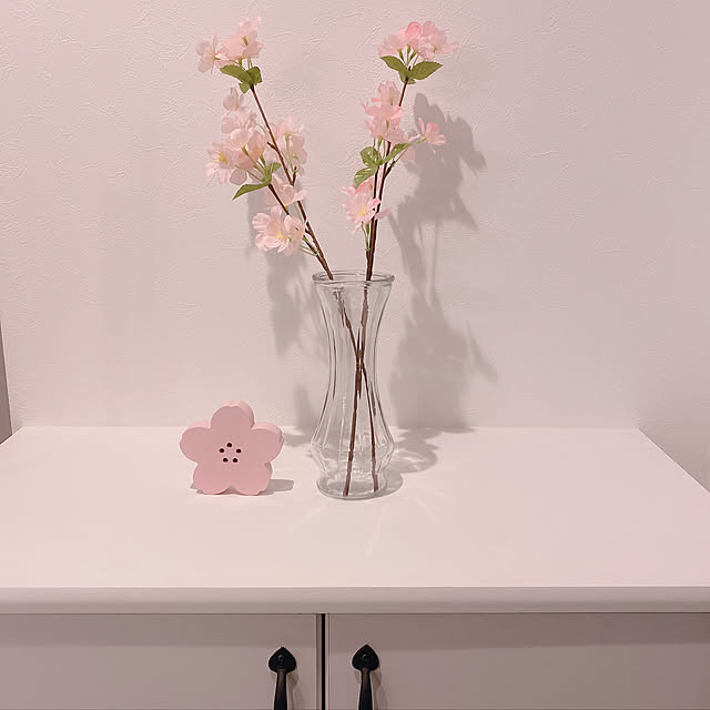 nozomi0808さんの実例写真