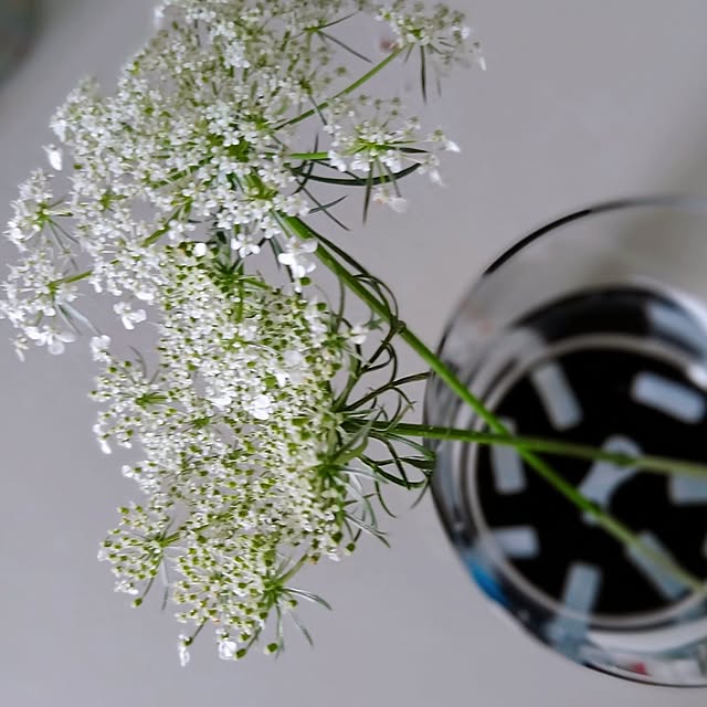 cafe0415hさんの部屋