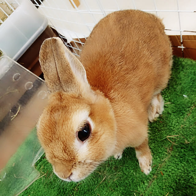 kuuaさんの実例写真