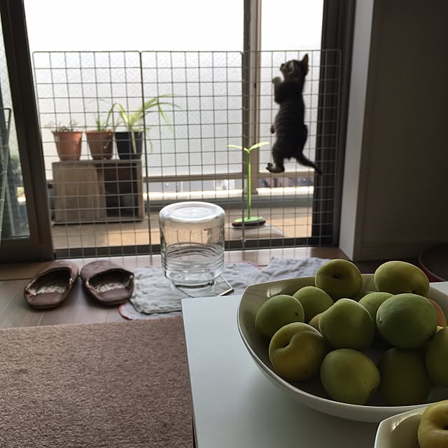 mikomaruさんの実例写真