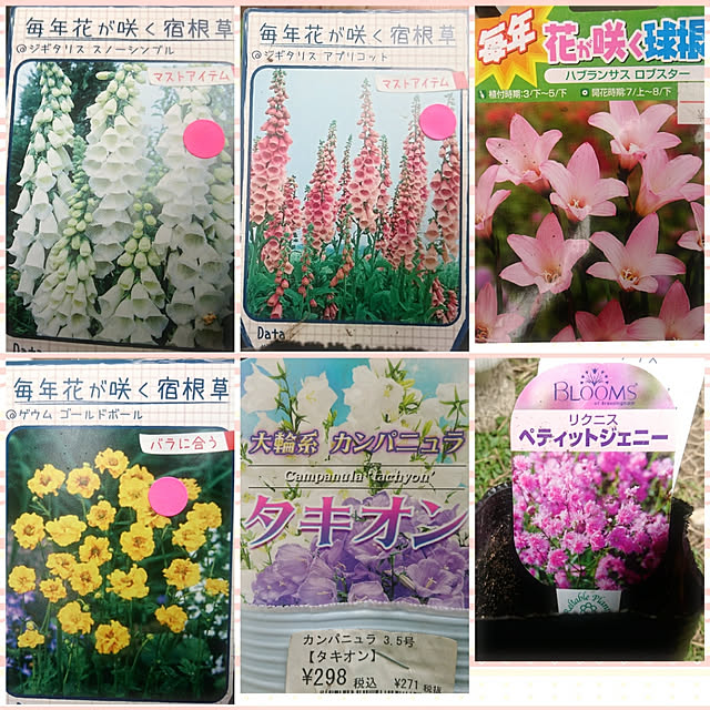 chururiさんの実例写真