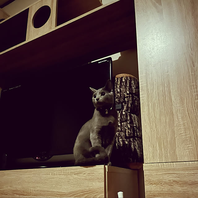 kyonさんの実例写真
