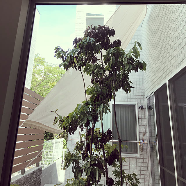 asasanさんの実例写真