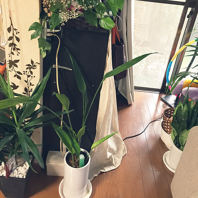 Harumiさんの実例写真