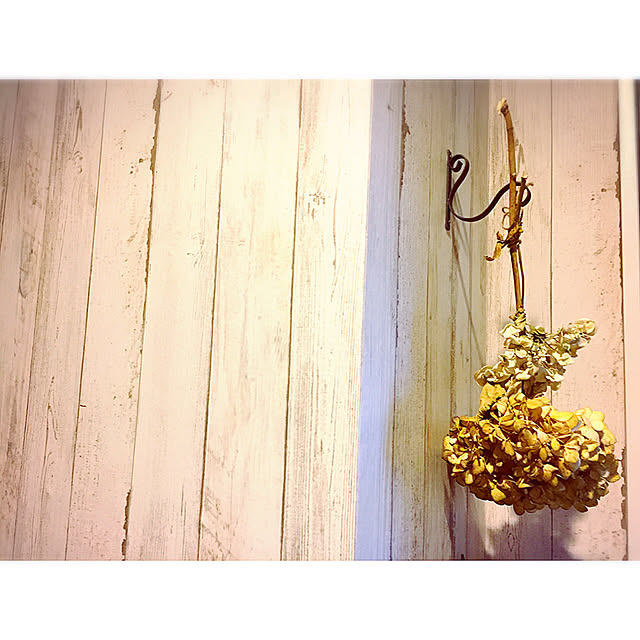 Rans_andy.さんの実例写真