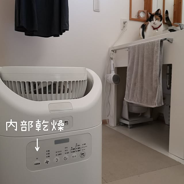 koyurizuさんの実例写真