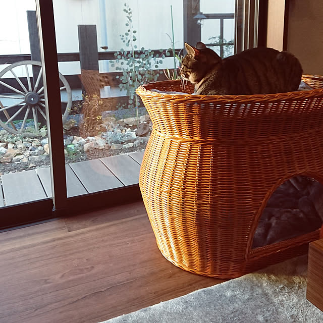 taka-kiのファミリー・ライフ-キャットハウス 2段ベッド ラタン ねこベット ペットベッド クッション付きの家具・インテリア写真