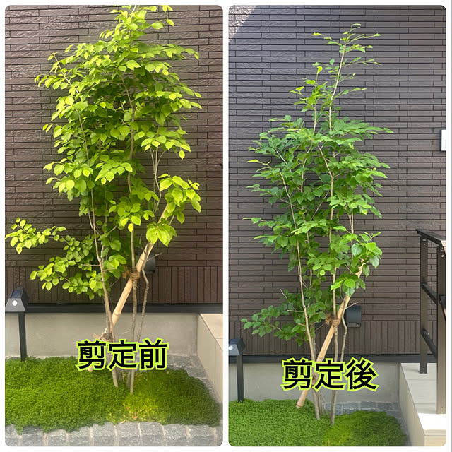 wakuwakuさんの実例写真