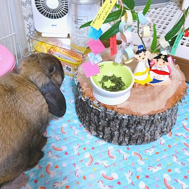 mariaさんの部屋