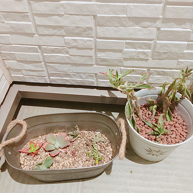 yukimiさんの実例写真