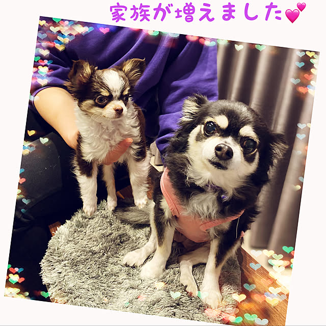 Hannahさんの実例写真