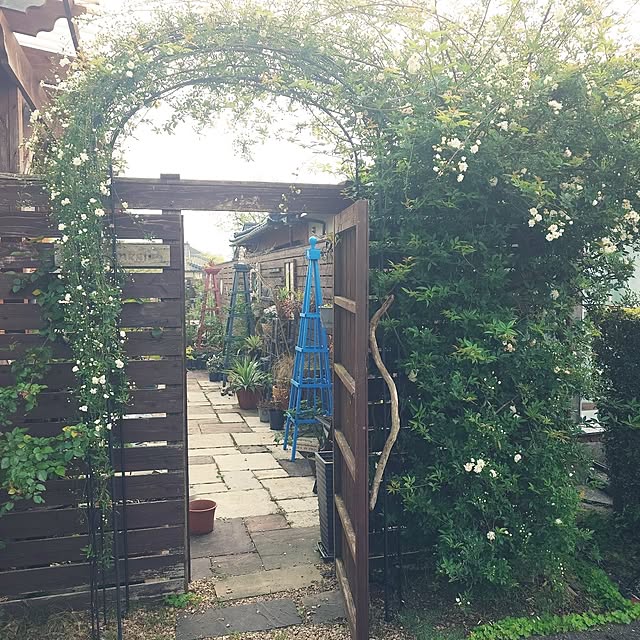 masayoさんの実例写真