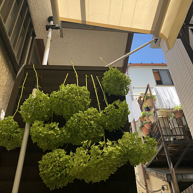 Nobbyさんの実例写真