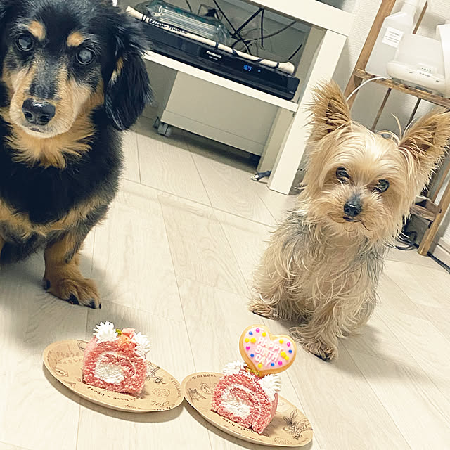 ohanaさんの実例写真