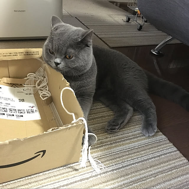kittyさんの実例写真