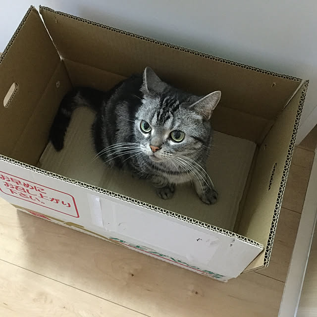 richanさんの実例写真