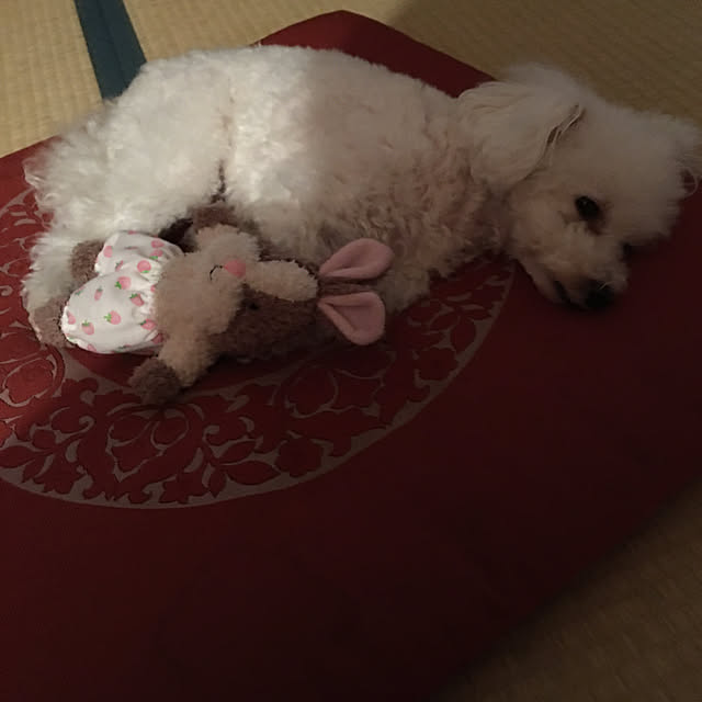 kakoさんの実例写真