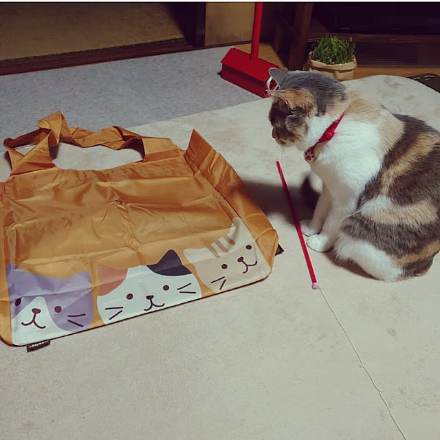 fukuさんの実例写真