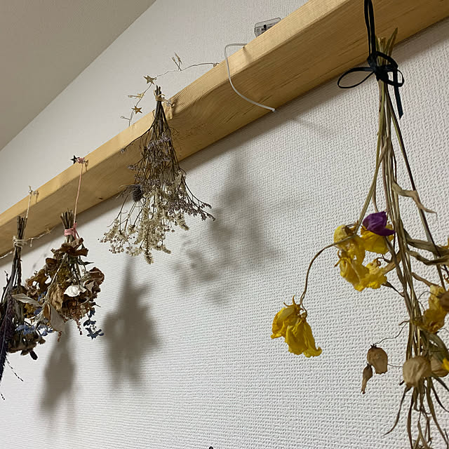 mikeさんの実例写真