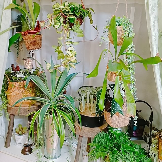 Hanakaさんの実例写真