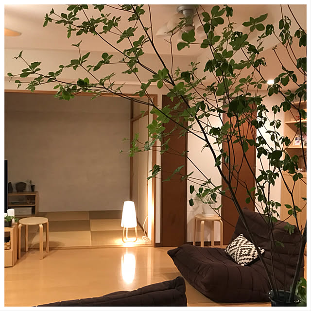 Yoshikoさんの実例写真