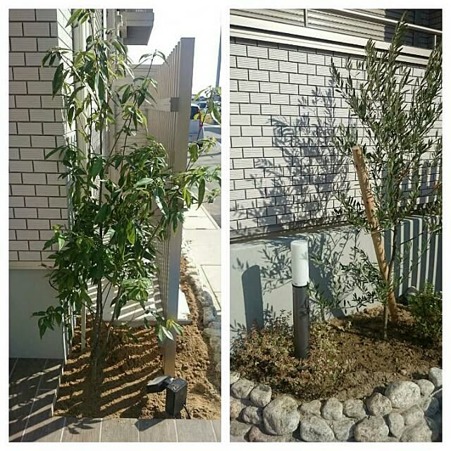 sannocafeさんの実例写真