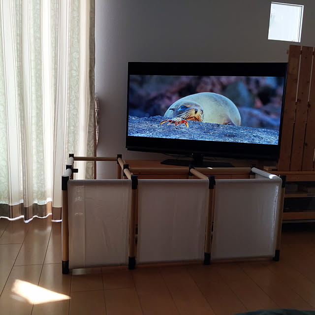 noraさんの部屋
