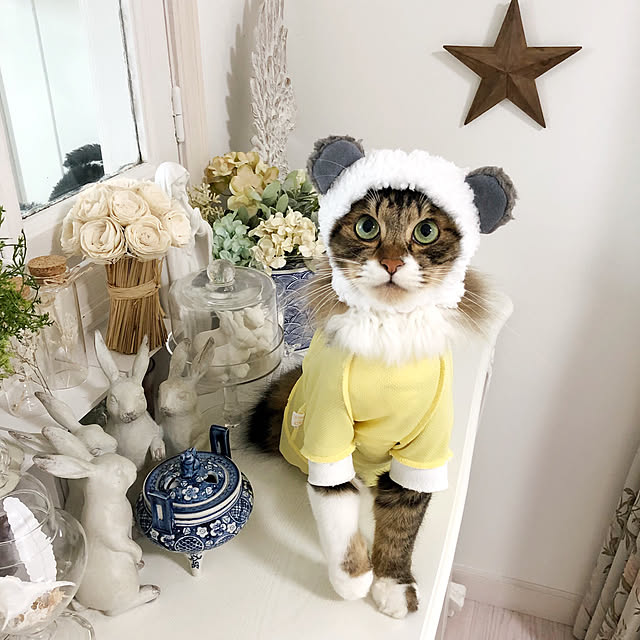 yuchiさんの実例写真