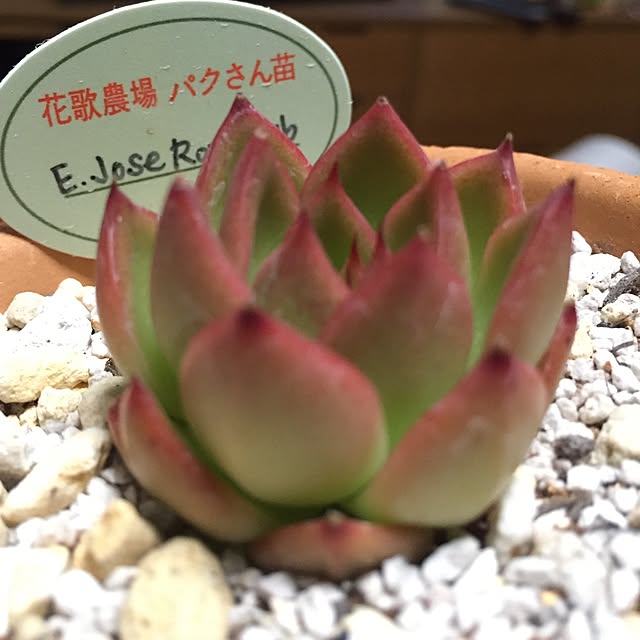 tomo26さんの実例写真