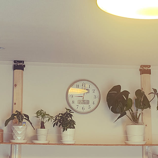 plant-happinessさんの実例写真