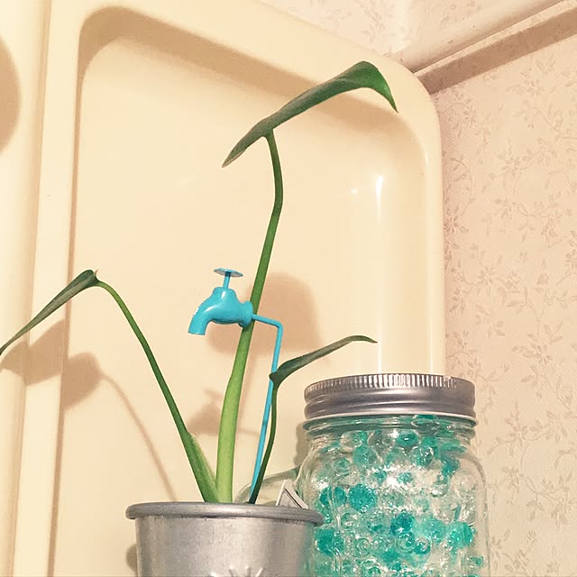 ohanaさんの実例写真