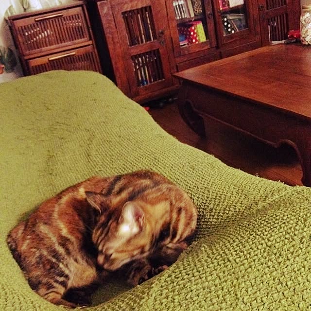 Nahoさんの実例写真