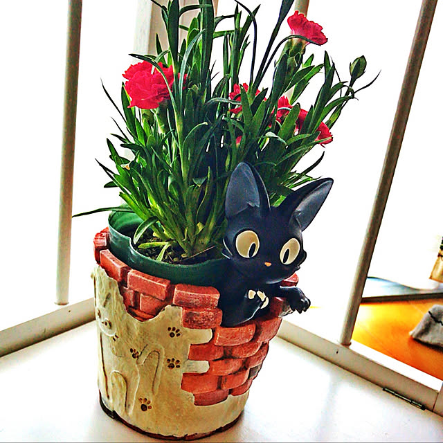 Ryoさんの実例写真