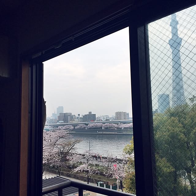 wanarchyさんの実例写真