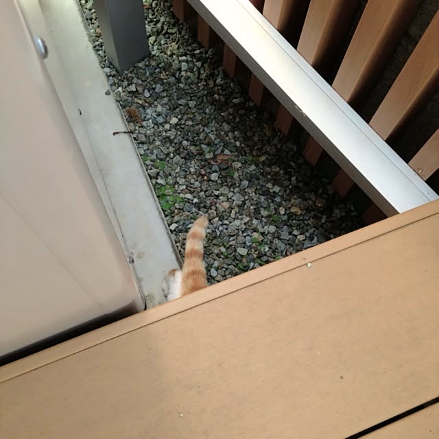 chiriさんの実例写真