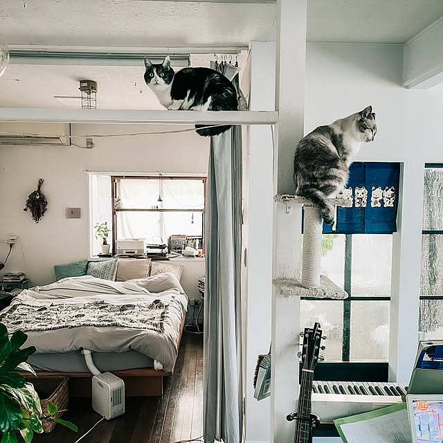 a.f.さんの実例写真