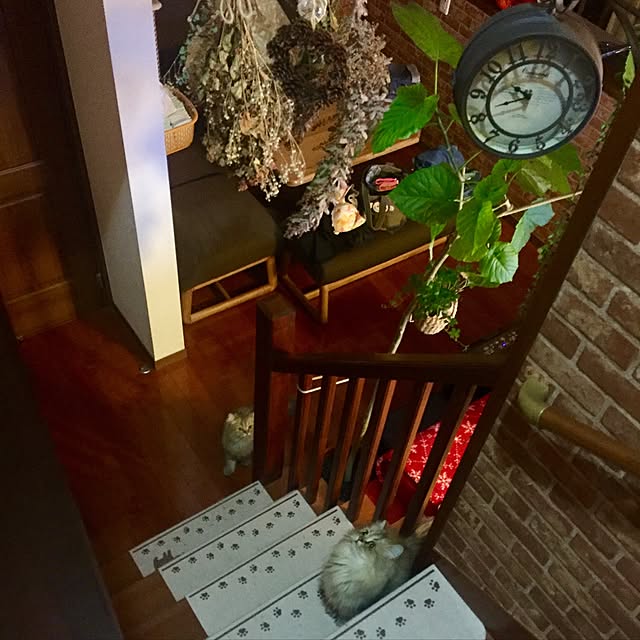butachanさんの実例写真