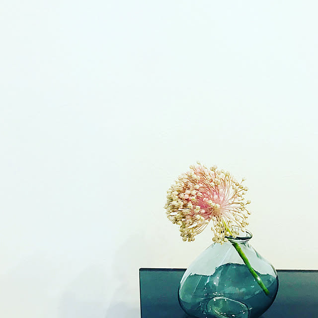ayapu77さんの実例写真
