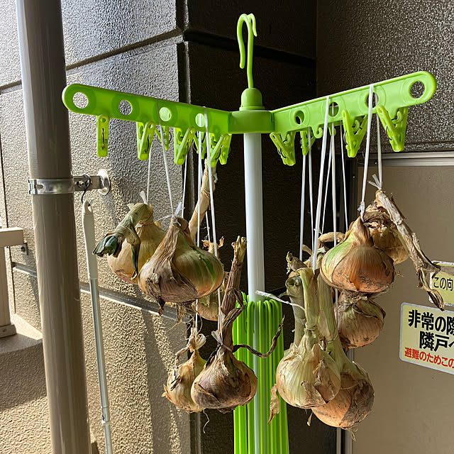 koshiregutyoさんの実例写真