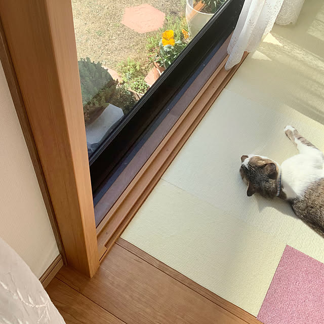 haruminさんの部屋