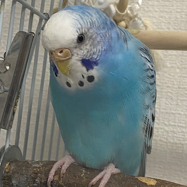 ohanaさんの部屋