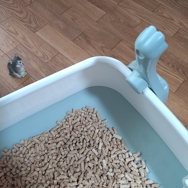 NOAHさんの実例写真