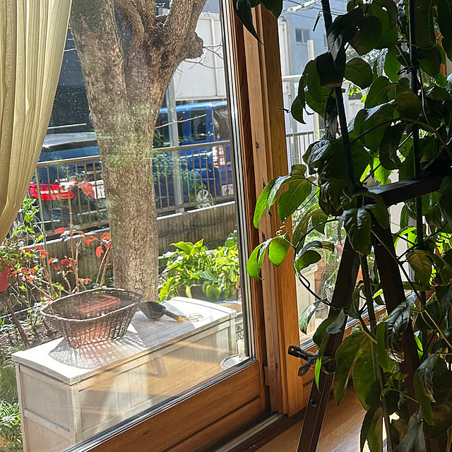 botanさんの部屋