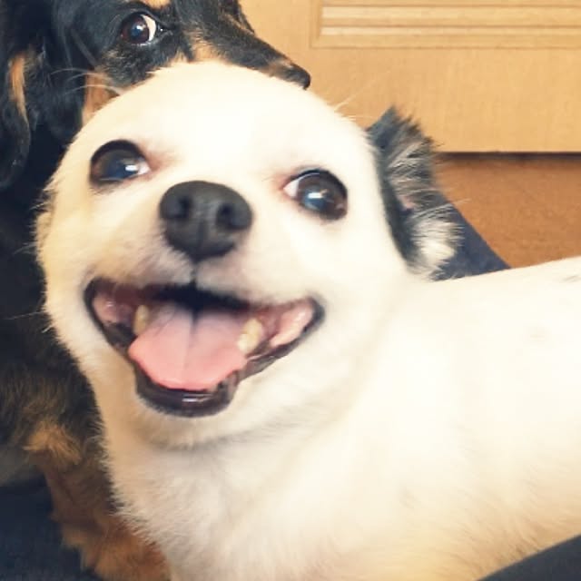 ohanaさんの実例写真
