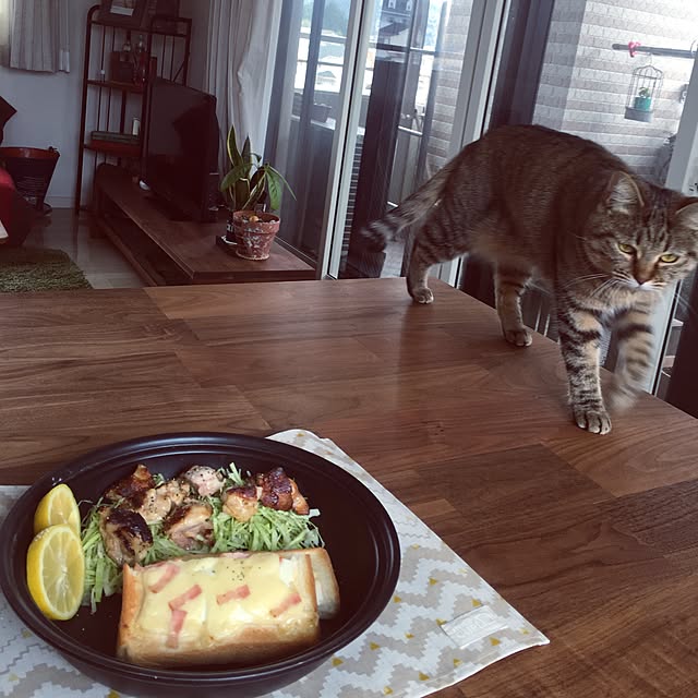 実例写真