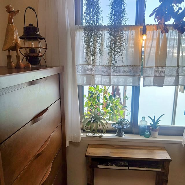 midorineさんの部屋