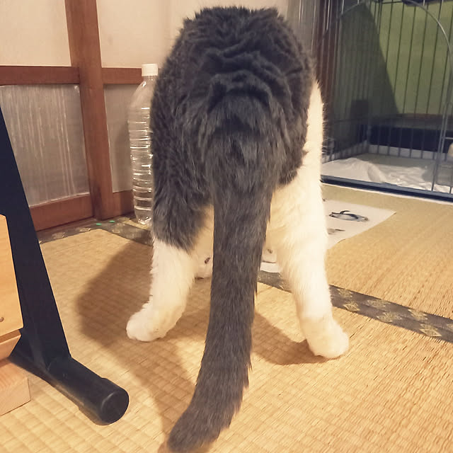 rhuさんの実例写真
