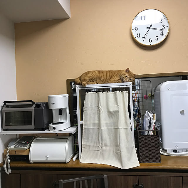 nekohagu2022さんの実例写真