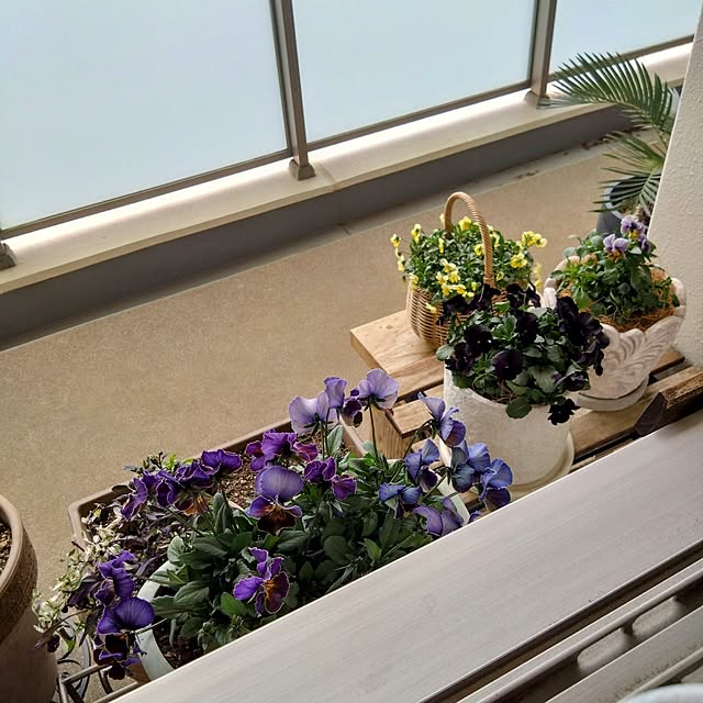 kerochanさんの部屋